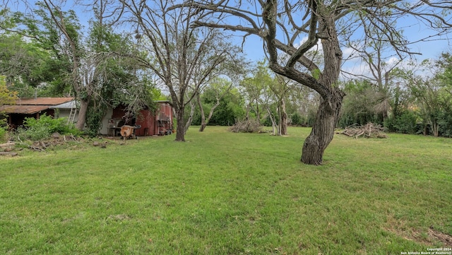 view of yard