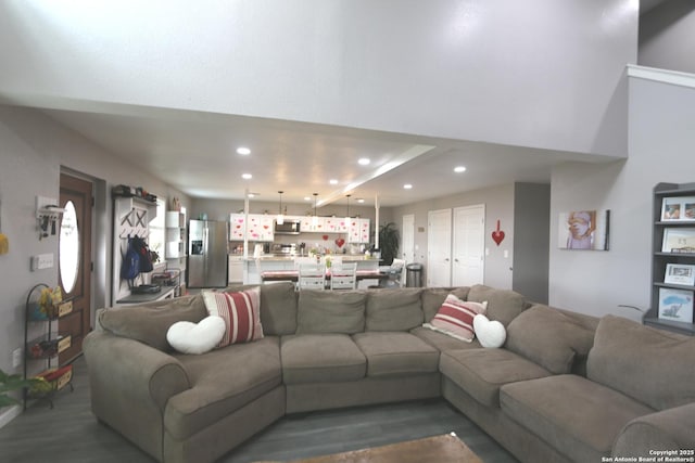 living room featuring dark wood-type flooring