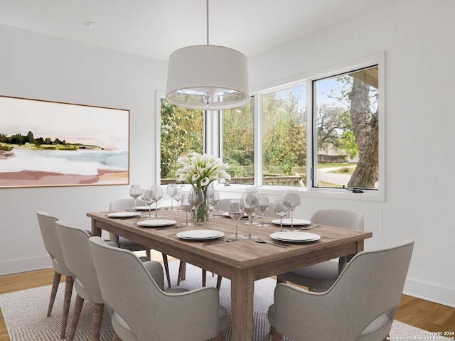 dining room with hardwood / wood-style floors