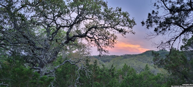 2515 Smoke Rise Cyn, Bulverde TX, 78163 land for sale