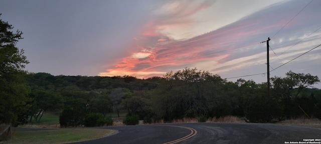 Listing photo 3 for 2515 Smoke Rise Cyn, Bulverde TX 78163