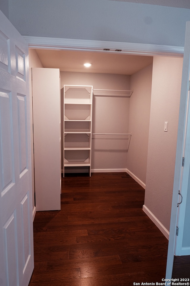 spacious closet with dark wood-type flooring