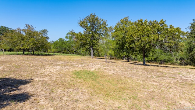 view of yard featuring a rural view