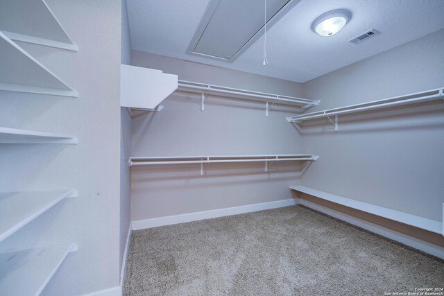 walk in closet featuring light colored carpet