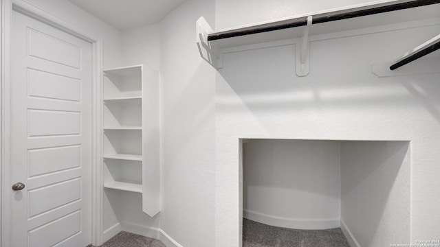 spacious closet with carpet floors