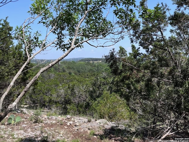 view of local wilderness