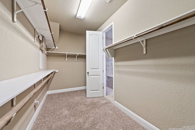 spacious closet featuring light carpet