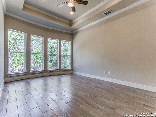 spare room with hardwood / wood-style flooring, ceiling fan, a tray ceiling, and a wealth of natural light