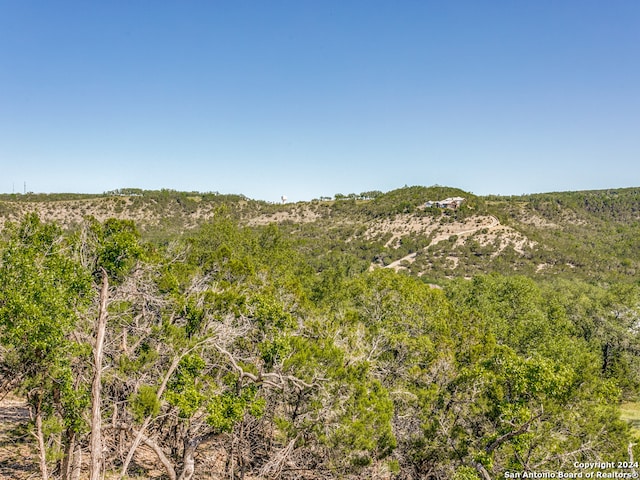 view of mountain view