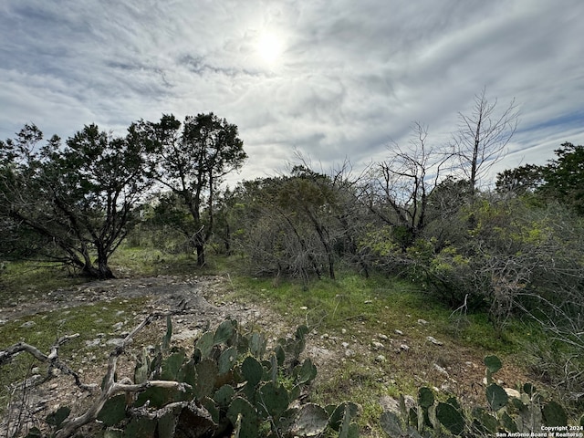 7640 County Road 278, Rio Medina TX, 78066 land for sale