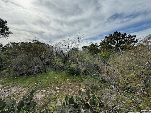 Listing photo 2 for 7640 County Road 278, Rio Medina TX 78066