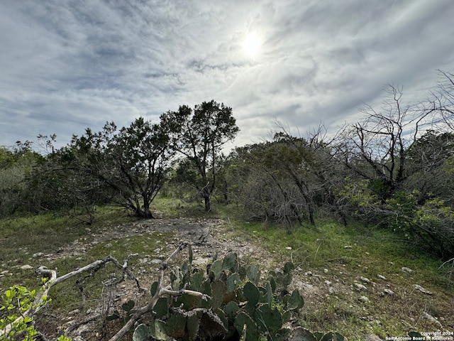 Listing photo 3 for 7640 County Road 278, Rio Medina TX 78066