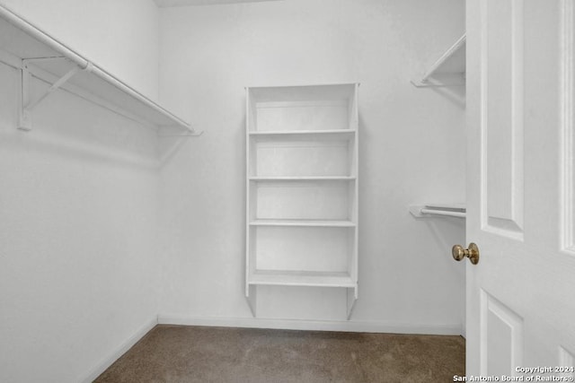 walk in closet featuring carpet flooring