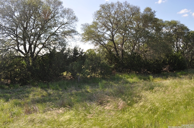 Listing photo 3 for LOT100 Palomino Spgs, Bandera TX 78003