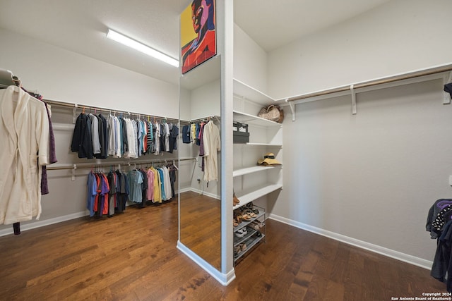 spacious closet with hardwood / wood-style floors