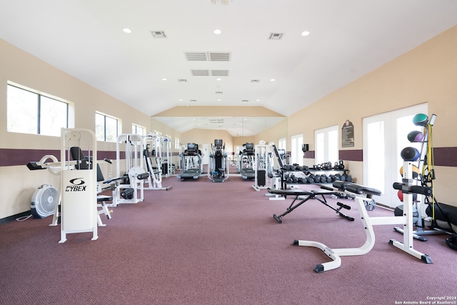 gym featuring vaulted ceiling and carpet flooring