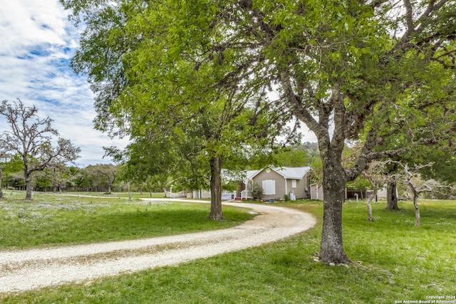 view of front of house featuring driveway and a front yard