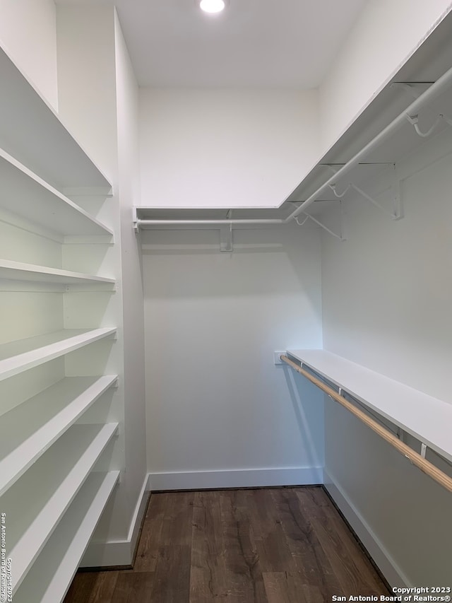 spacious closet featuring dark hardwood / wood-style floors