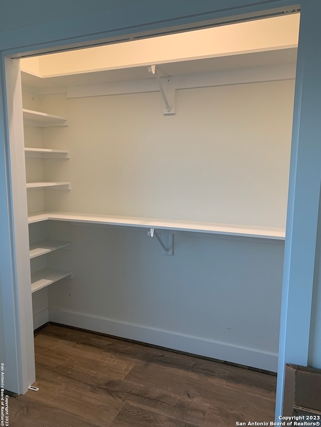 walk in closet featuring dark hardwood / wood-style flooring