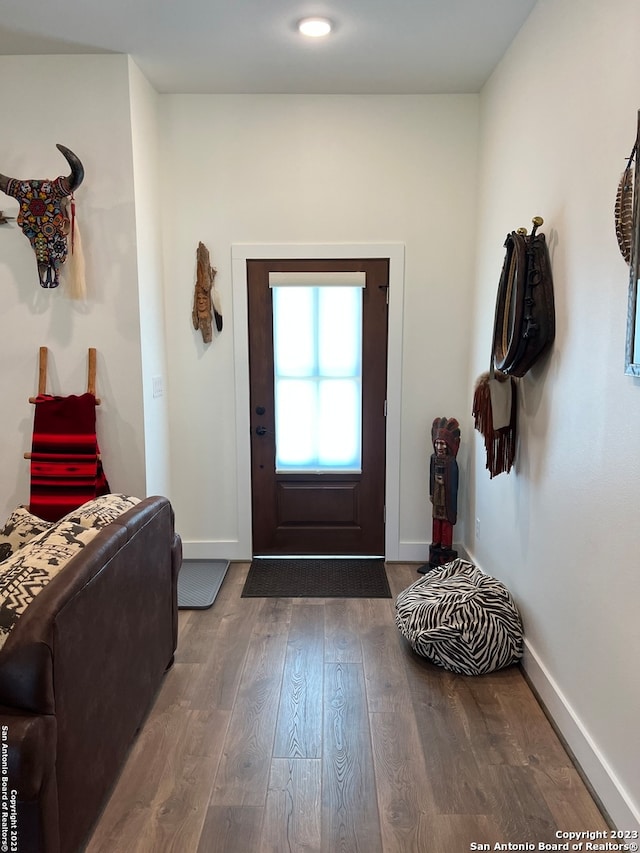 foyer featuring dark wood-type flooring