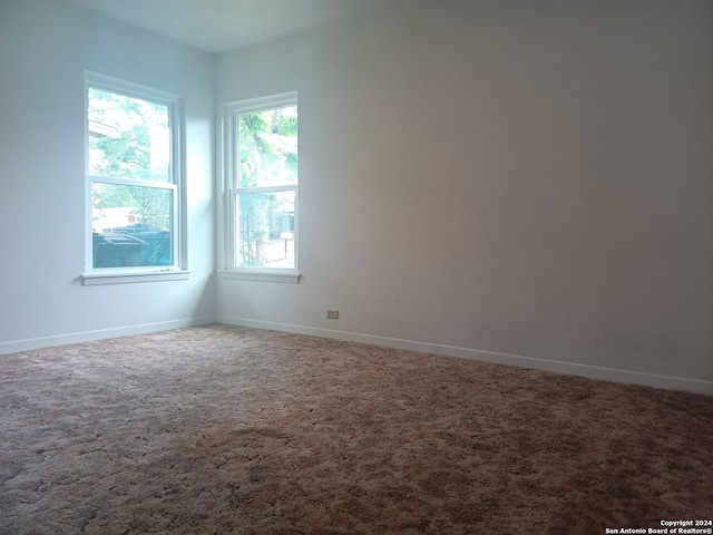 empty room featuring plenty of natural light and carpet flooring