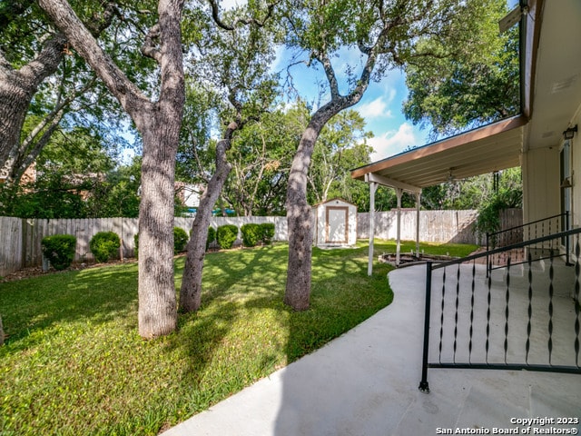 view of yard featuring a patio and a storage shed