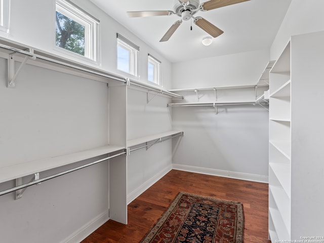 spacious closet with dark wood-type flooring and ceiling fan