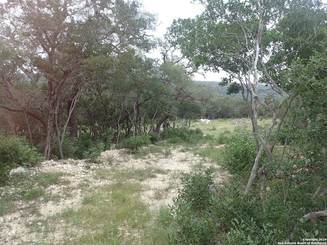 Listing photo 2 for TBD County Road 264, Mico TX 78056