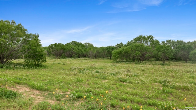 1467 County Road 120 Unit B, Floresville TX, 78114 land for sale