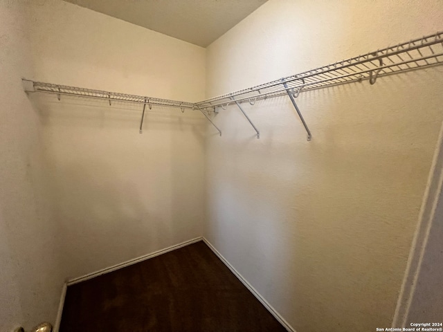 walk in closet with hardwood / wood-style flooring