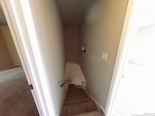 stairs featuring dark hardwood / wood-style floors