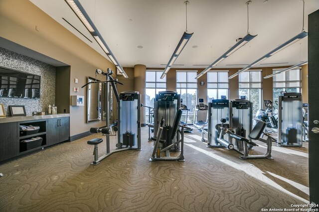 4242 Broadway Unit 2001, San Antonio, TX 78209 - workout area with carpet flooring