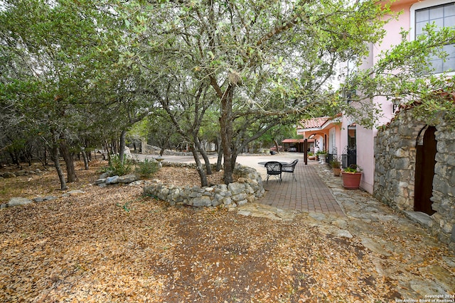 view of yard with a patio area