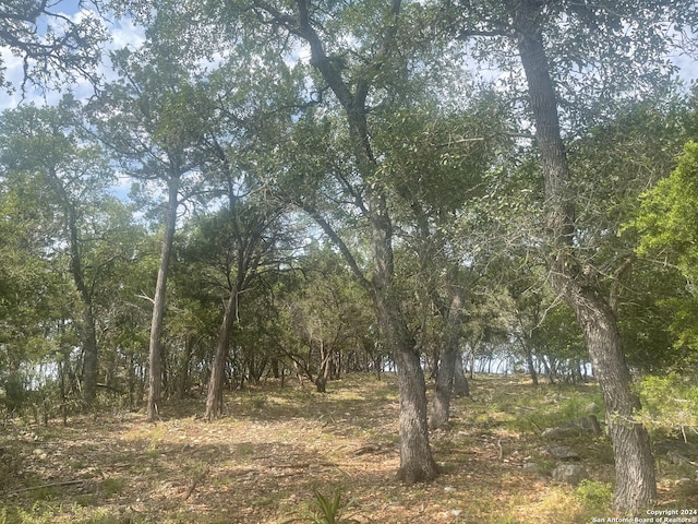 847 Shady Holw, New Braunfels TX, 78132 land for sale