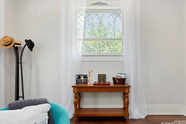 interior details featuring hardwood / wood-style flooring