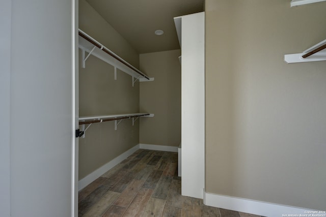 walk in closet featuring hardwood / wood-style floors