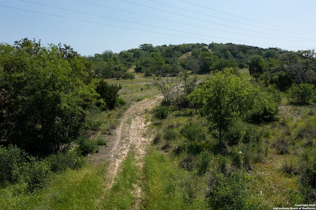 view of nature