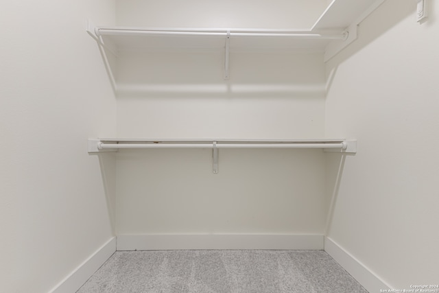 spacious closet with carpet flooring