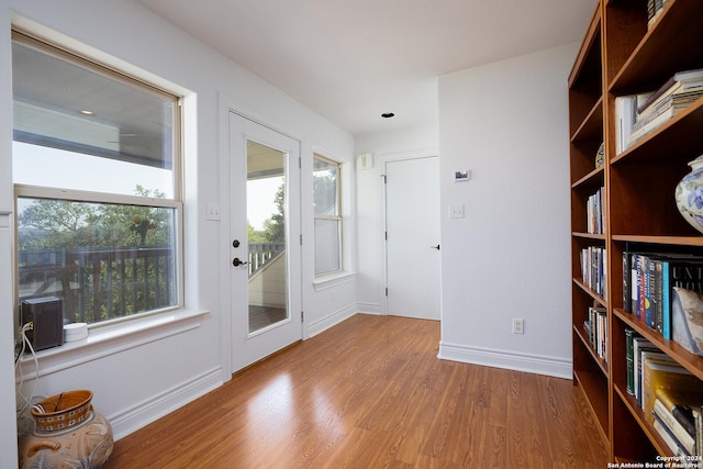 doorway featuring plenty of natural light and wood-type flooring