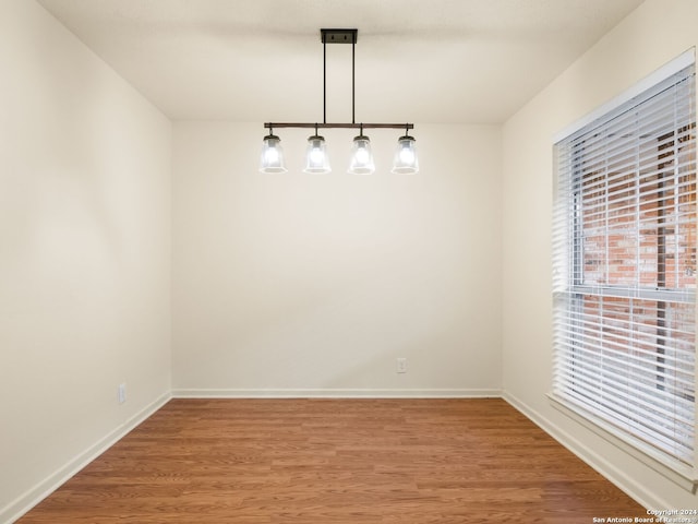 empty room featuring wood-type flooring