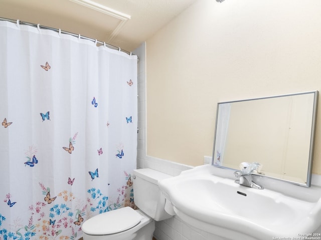 bathroom with sink and toilet