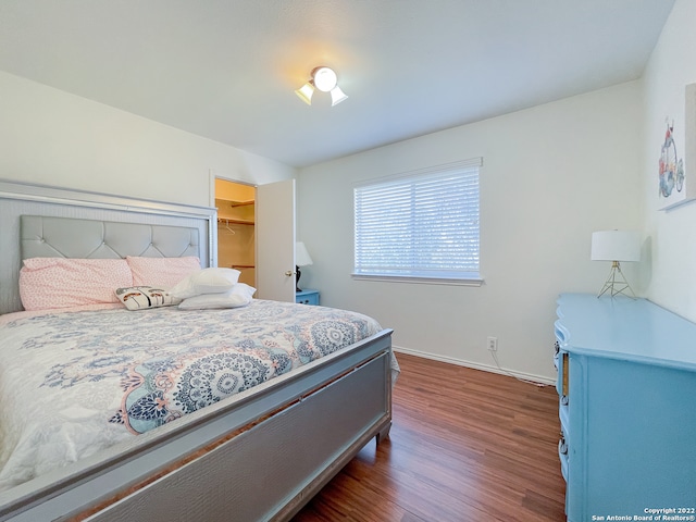 bedroom featuring dark wood-type flooring, a closet, and a spacious closet