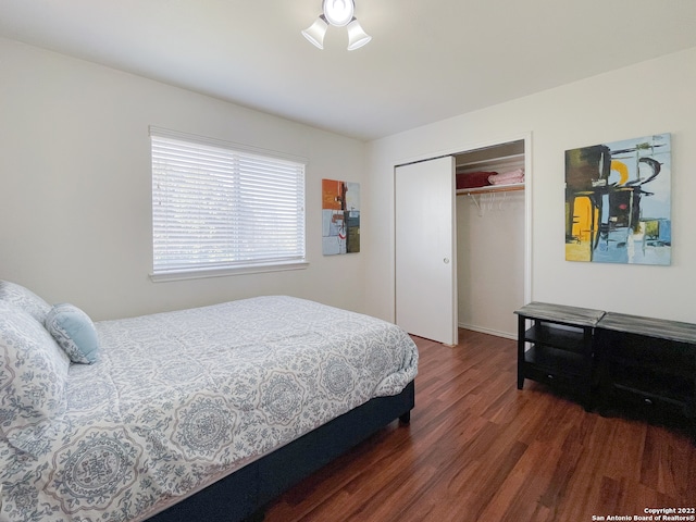 bedroom featuring dark hardwood / wood-style floors and a closet