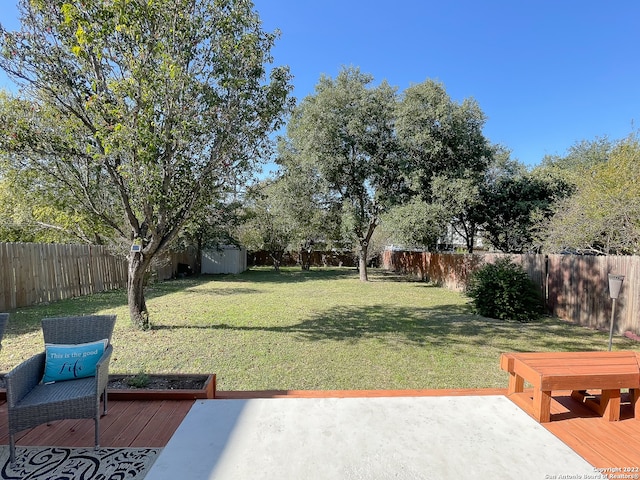 view of yard with a patio area and a storage unit