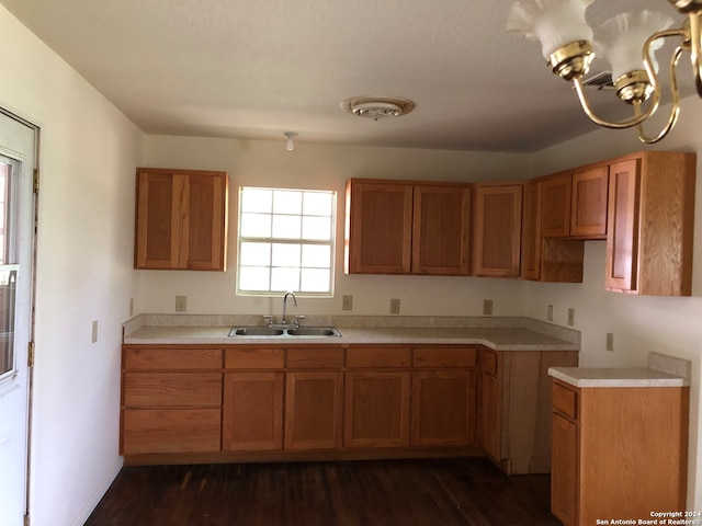 kitchen with sink and dark hardwood / wood-style flooring