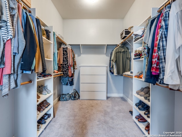 walk in closet with light carpet