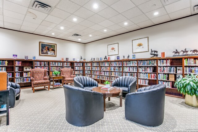 living area featuring carpet flooring and a drop ceiling