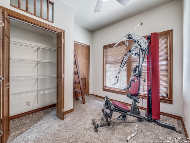 exercise room featuring ceiling fan and carpet floors