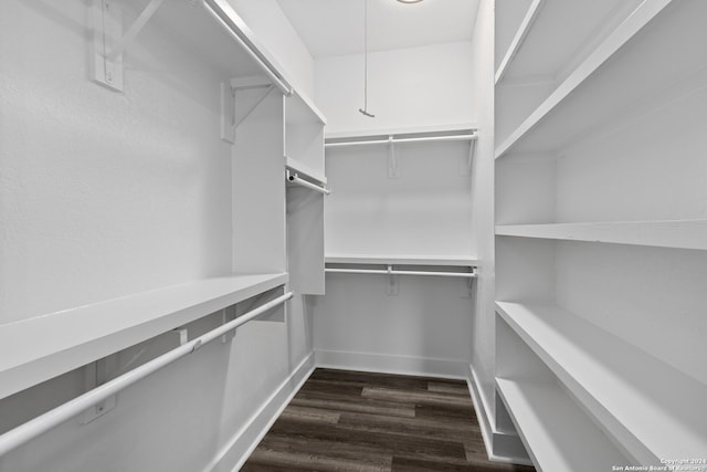 walk in closet featuring dark wood-type flooring