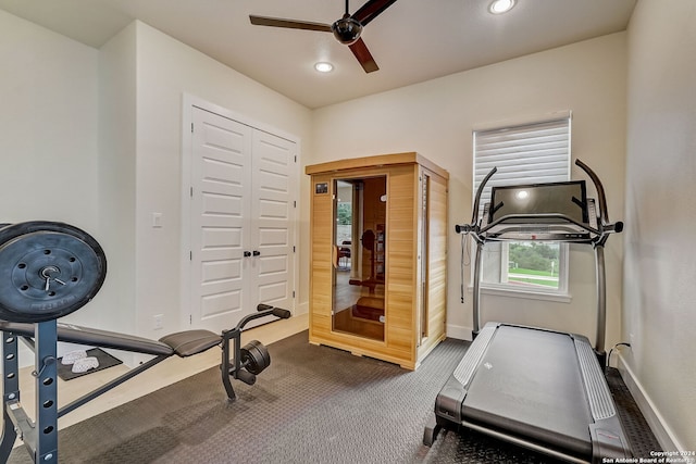 exercise area with carpet and ceiling fan